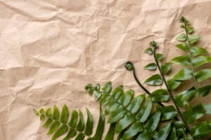 Eco-Friendly Printing Solutions for Corporate Sustainability Initiatives