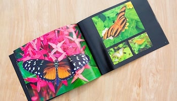 Digital Color edited Digital Color edited