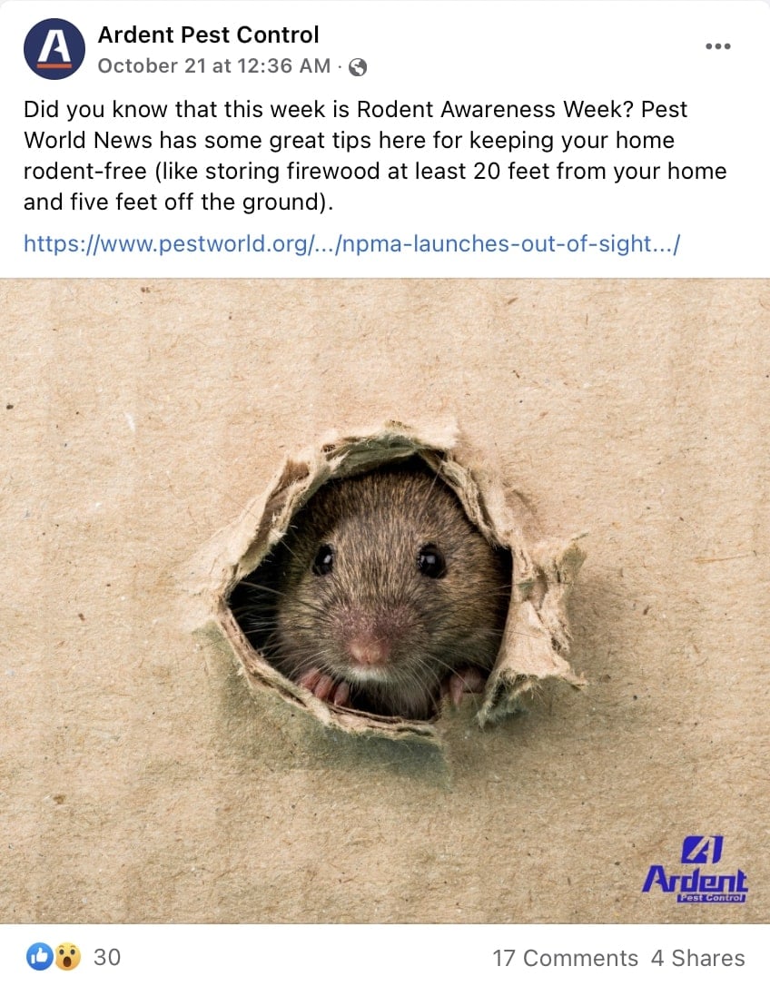 pest control marketing