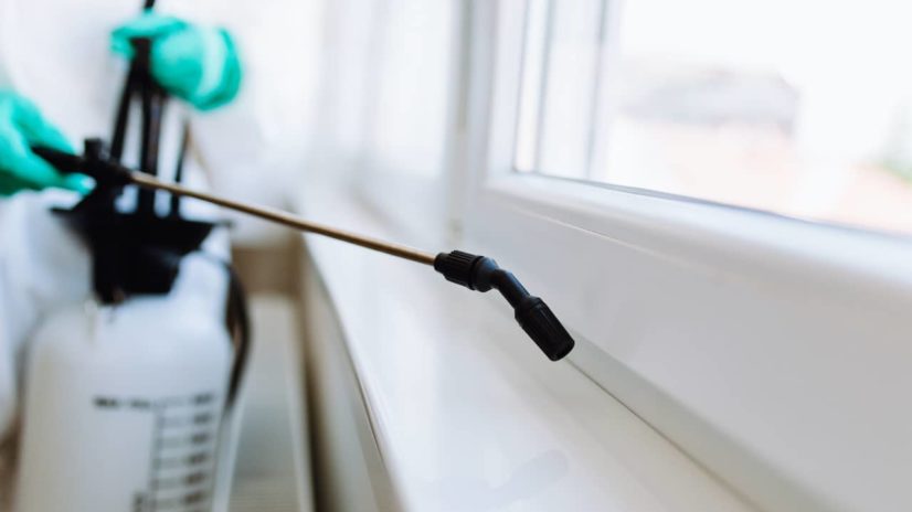 Pest Control Marketing