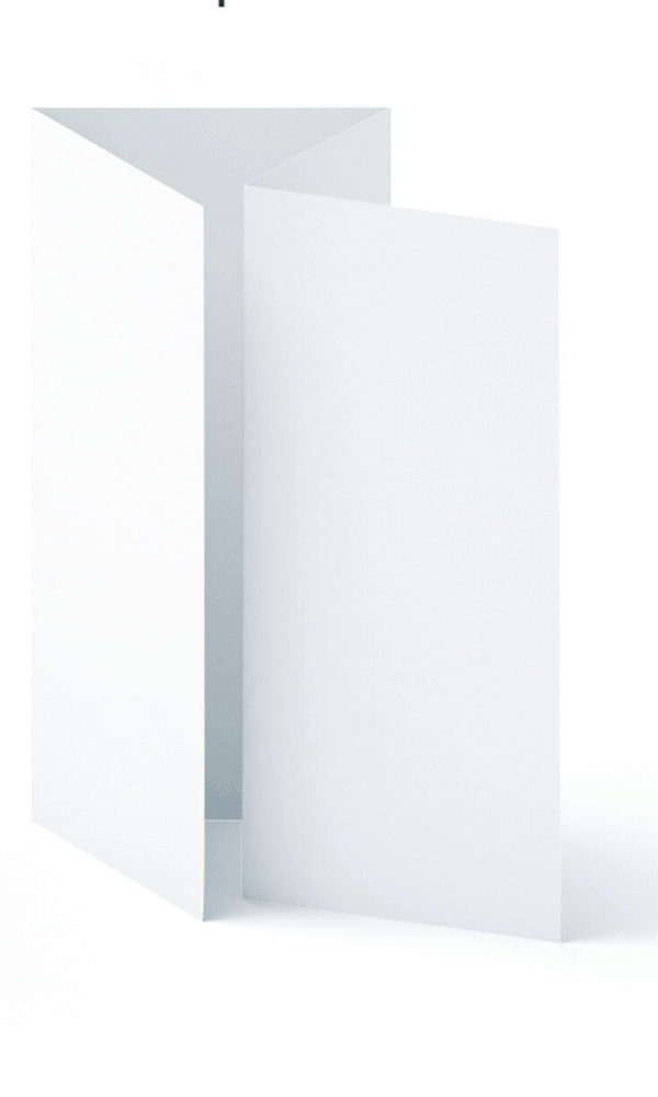 double parallel fold brochure