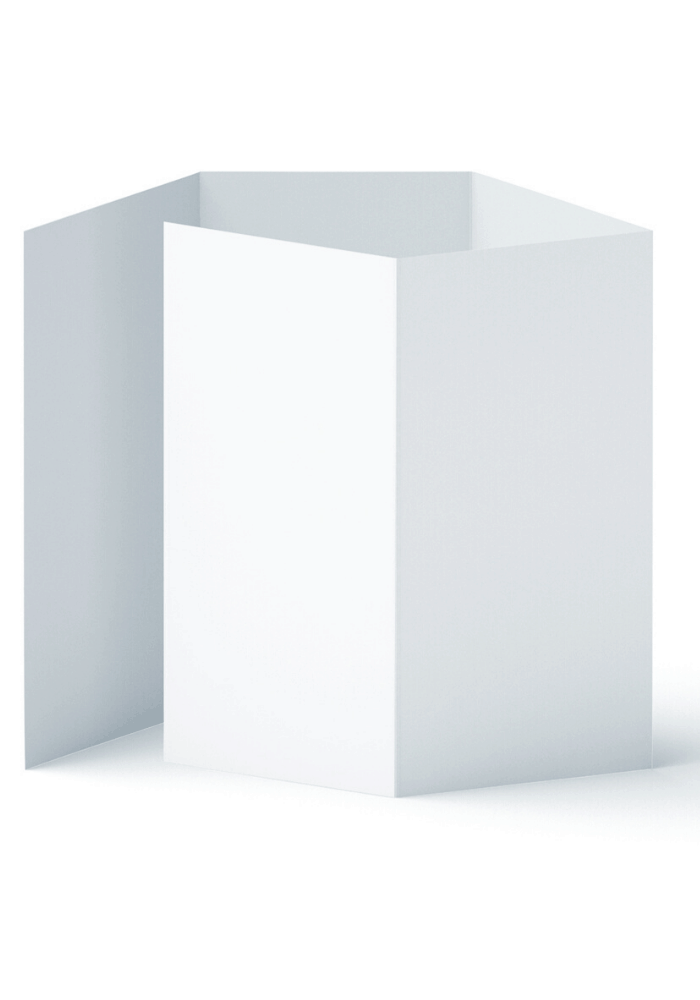 roll fold brochure